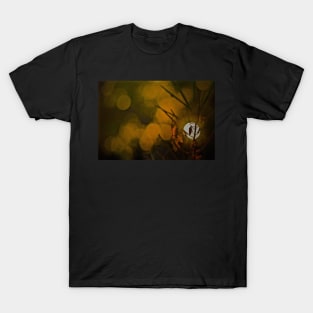 BUG BOKEH T-Shirt